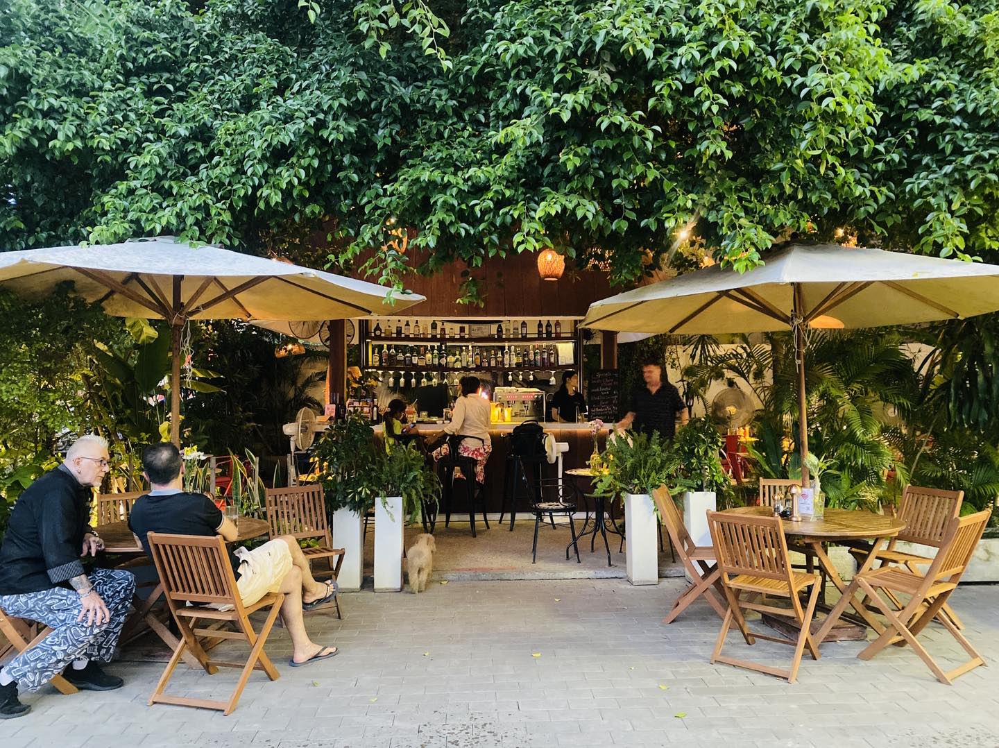 Bellini outdoor garden with bar and umbrellas in Phnom Penh