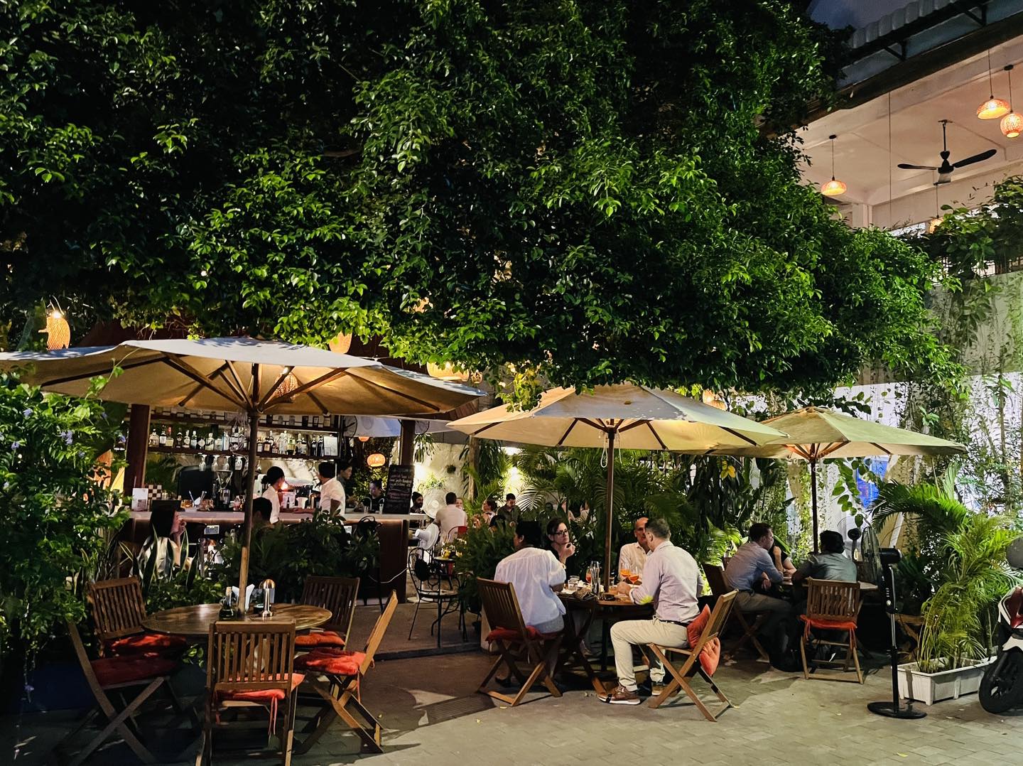 Bellini garden at night with umbrellas and lush greenery